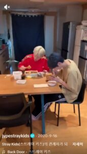 Stray Kids "Backdoor" on Tiktok