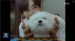 Cha Eun-woo appears with a white dog in footage shown during a KBS News report.
